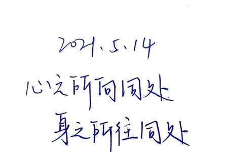 心之所往什么意思