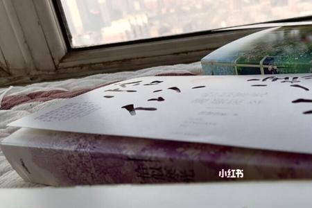 叶绾绾喝醉酒有哪几章