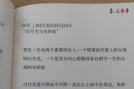 人生的白月光是什么
