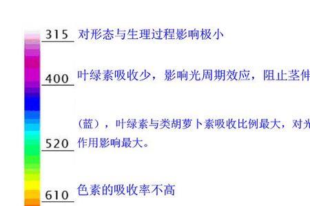 光合作用吸收什么波长的光