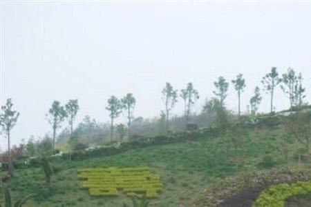 常州凤凰山公墓清明开放吗