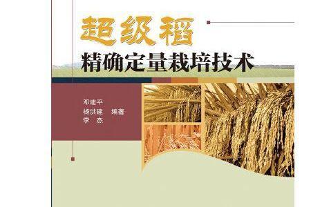 天农20超级稻怎样