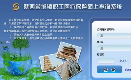 医疗保险查询个人账户查询官网