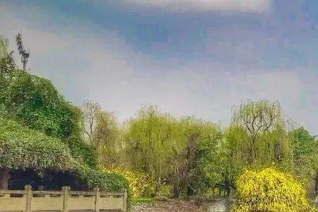 信息工程大学与西南大学哪个好