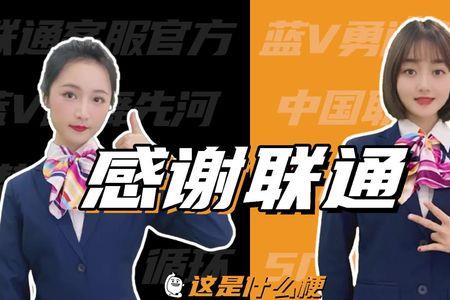 网通上路电信中路什么梗