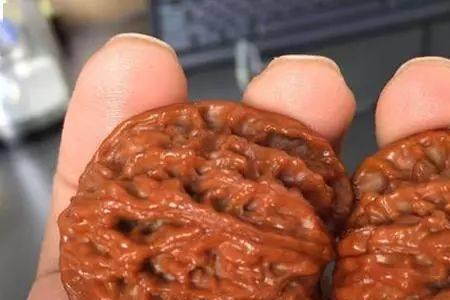 核桃只刷不盘的结果