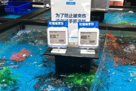 沙田盒马鲜生临时工好做吗