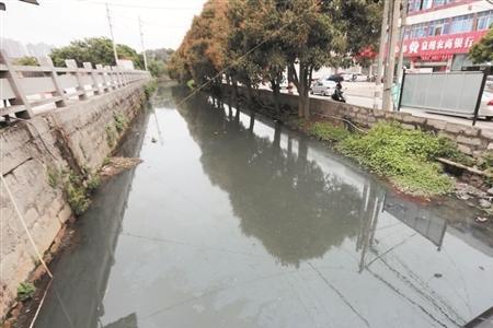 为什么死水会发臭