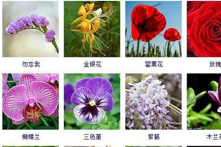 南方春天花开顺序
