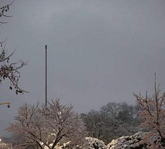 三月雪连夜全诗的寓意