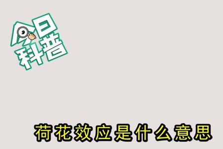 荷兰定律啥意思