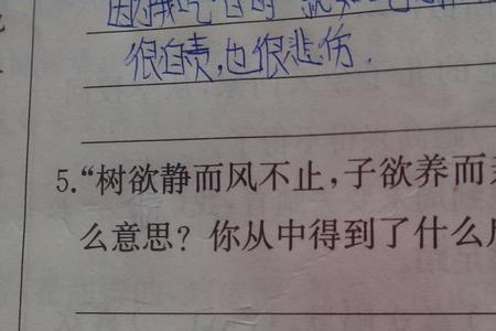 亲静的意思