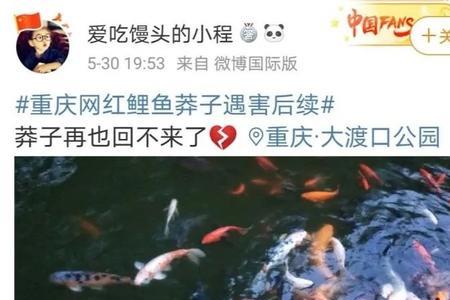 大莽子什么意思