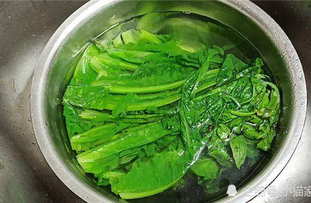 涝菜是什么菜