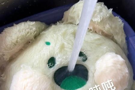 嘟嘟喵洗完澡后怎么快速干