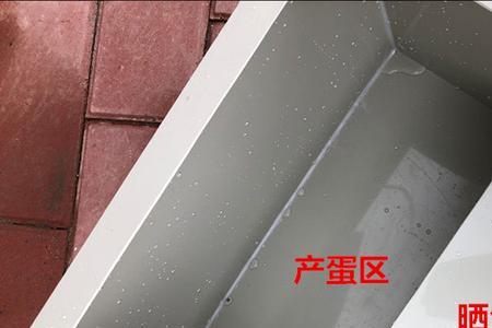 黄缘龟池如何不换水