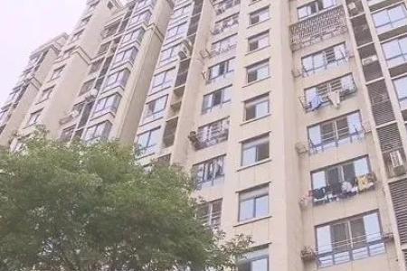 小区高层住宅楼下能停车吗