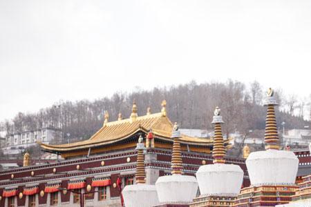 塔尔莫海拔多少