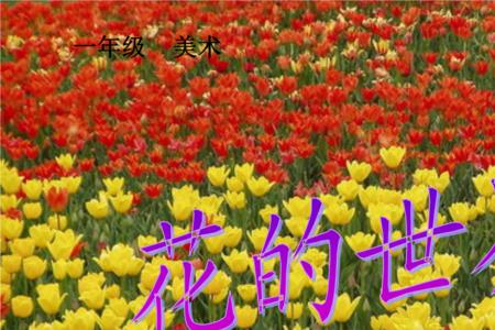 花儿的特点全文