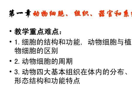 动物的基本组织中重要的