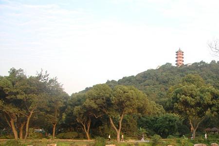 锡山山峰最高的高度