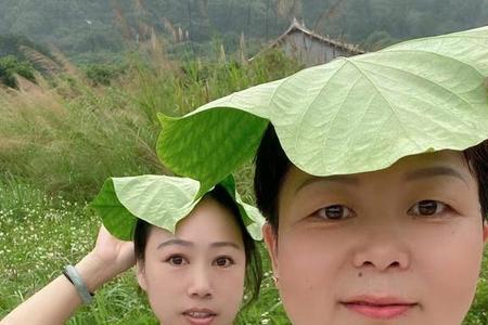 端午节接媳妇啥意思