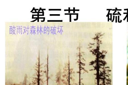 含氯氧化物
