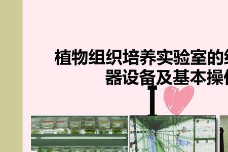 植物实验室快速繁殖方法