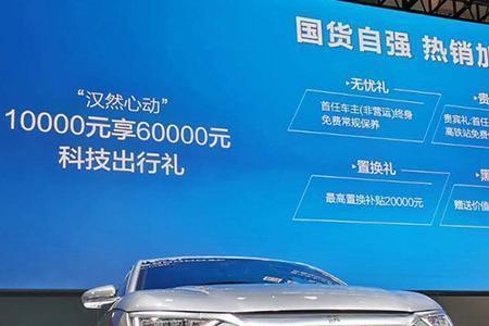 国家电网充电桩充不了比亚迪汉DM
