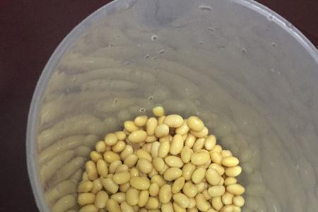 苏泊尔dj12b-y58e豆浆机可以用干豆吗