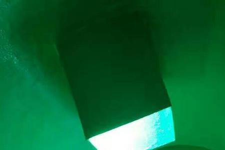 环氧树脂可以保存绿叶吗