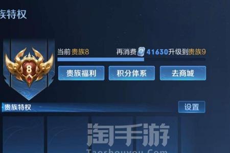 王者荣耀贵族三有什么用