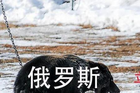 立陶宛著名动物