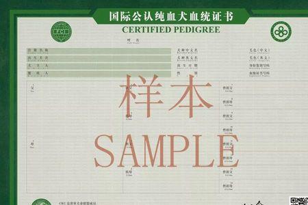 马犬的血统证书哪里可以办