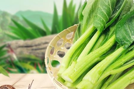 芥兰与油麦菜的区别