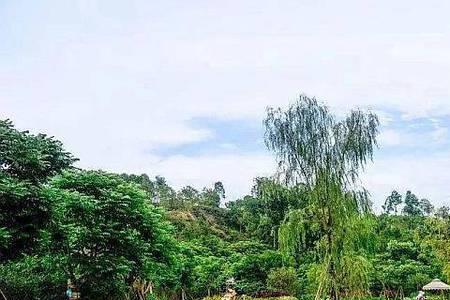 公明田园小镇要门票吗