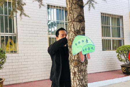 怎样保护树木