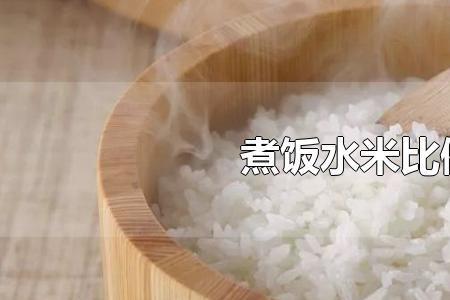 米和水的比例