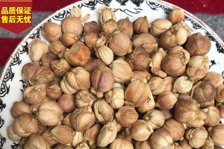 白蔻与白豆蔻是一种吗