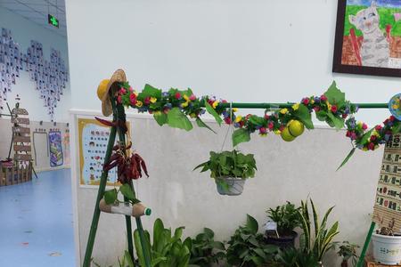 小班植物角投放材料有哪些