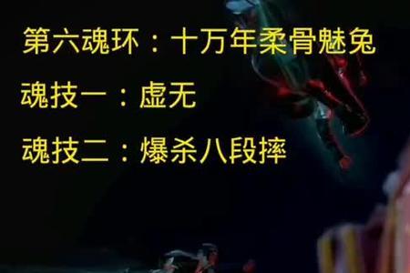 小奥的九大魂技和魂环