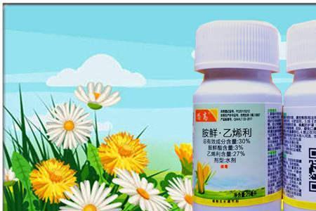 胺鲜乙烯利在柿子树上用多少倍