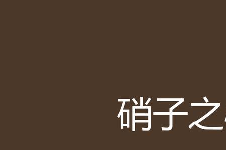 srk什么意思网络用语