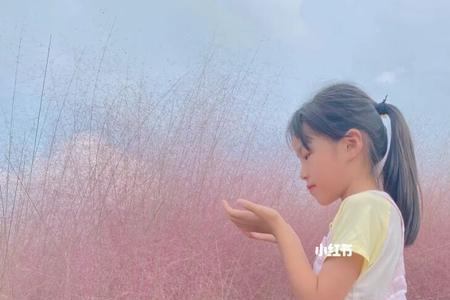 粉黛西子的诗句