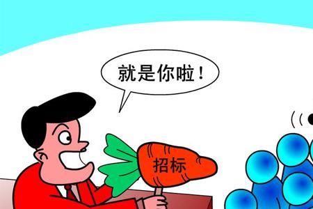 村集体项目必须公开招投标吗