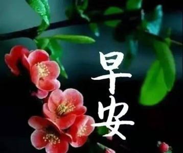 早安惦念与牵挂的现代诗句