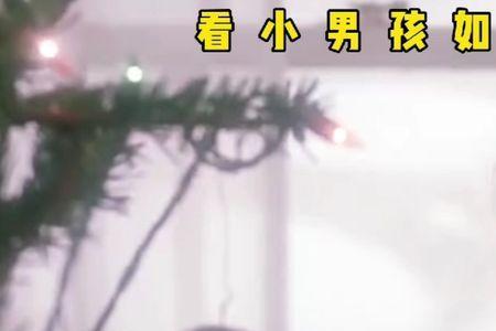 小沈阳智斗俩笨贼是哪个电影