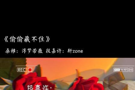 偷偷藏不住段嘉许哪时候表的白