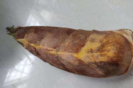 毛竹笋焯水要放盐吗