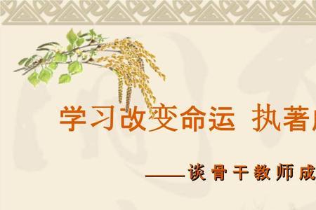 描述骨干教师的成长规律